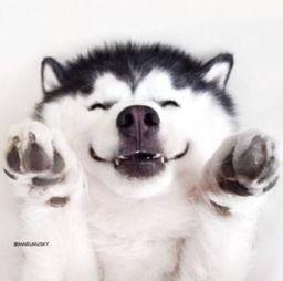 吃瓜群众视频合集在线观看